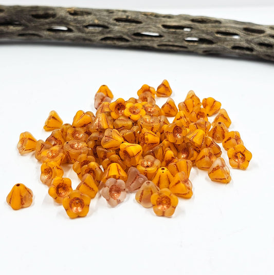 Czech Bellflower 06x08 Matte Orange with a Copper Wash pkg of 10